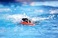 RielVisuals_NADD_Copper_Classic_20240126_090523_SJR02141