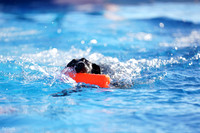 RielVisuals_NADD_Copper_Classic_20240126_090524_SJR02143