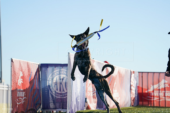 RielVisuals_NADD_Copper_Classic_20240126_091248_SJR02245