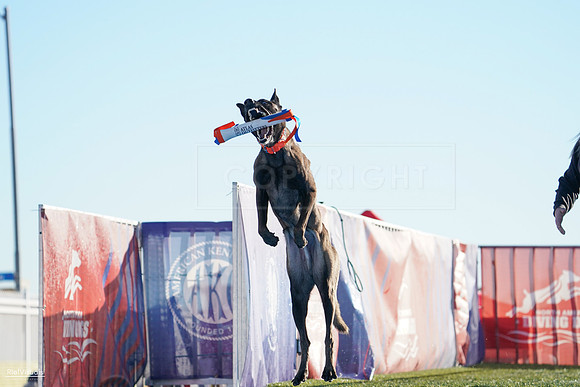 RielVisuals_NADD_Copper_Classic_20240126_091520_SJR02329