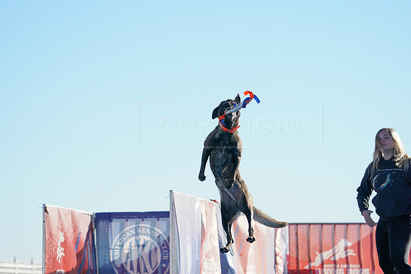 RielVisuals_NADD_Copper_Classic_20240126_091629_SJR02373