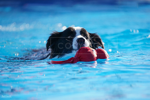 RielVisuals_NADD_Copper_Classic_20240126_092539_SJR02708