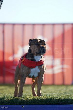 RielVisuals_NADD_Copper_Classic_20240126_092737_SJR02749
