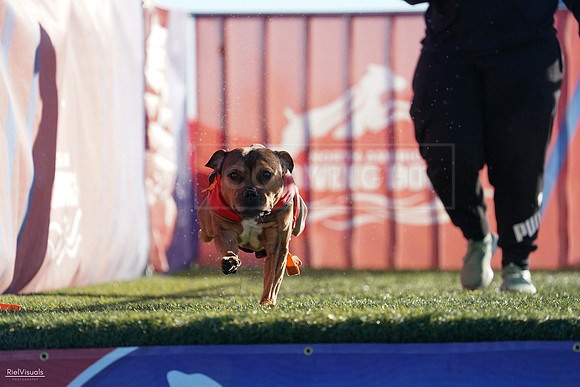 RielVisuals_NADD_Copper_Classic_20240126_092808_SJR02791