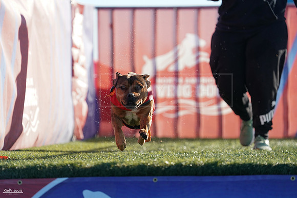 RielVisuals_NADD_Copper_Classic_20240126_092808_SJR02790