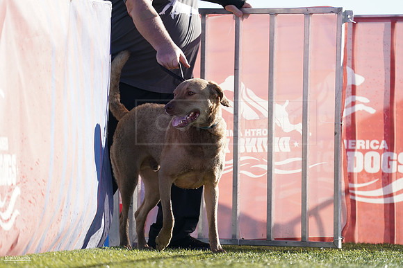 RielVisuals_NADD_Copper_Classic_20240126_093450_SJR03043
