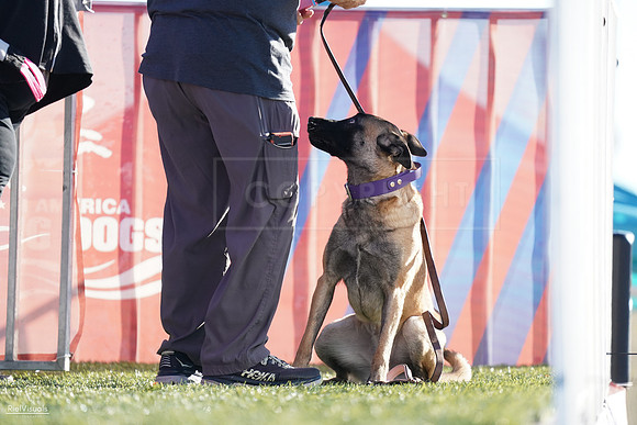 RielVisuals_NADD_Copper_Classic_20240126_093829_SJR03171
