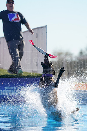 RielVisuals_NADD_Copper_Classic_20240126_094116_SJR03282