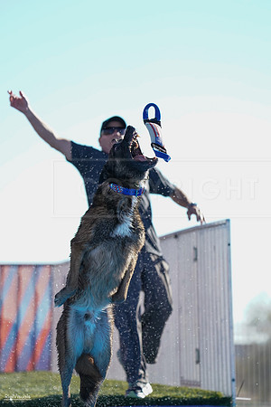 RielVisuals_NADD_Copper_Classic_20240126_095218_SJR03579