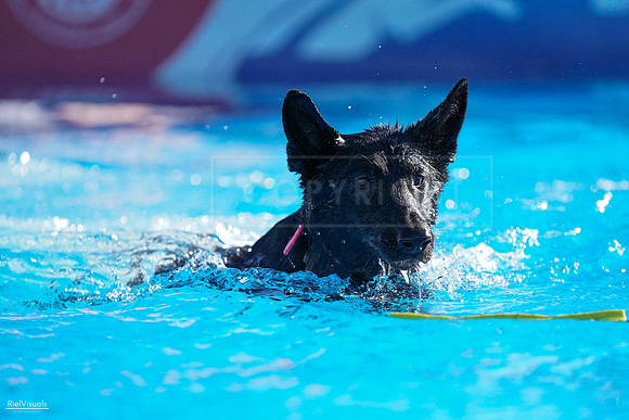RielVisuals_NADD_Copper_Classic_20240126_095447_SJR03678