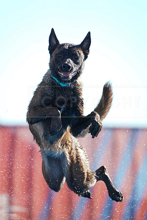 RielVisuals_NADD_Copper_Classic_20240126_095706_SJR03786