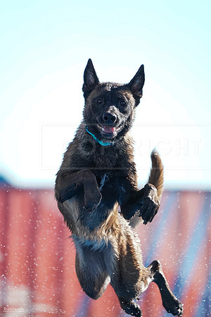 RielVisuals_NADD_Copper_Classic_20240126_095706_SJR03787