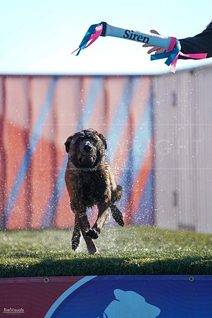 RielVisuals_NADD_Copper_Classic_20240126_095748_SJR03810