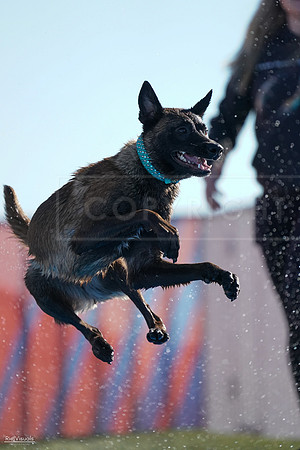 RielVisuals_NADD_Copper_Classic_20240126_095749_SJR03824