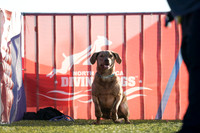 RielVisuals_NADD_Copper_Classic_20240126_082422_SJR00935