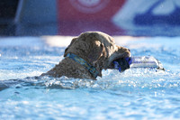 RielVisuals_NADD_Copper_Classic_20240126_082427_SJR00964
