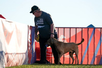 RielVisuals_NADD_Copper_Classic_20240126_082507_SJR00973