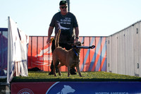 RielVisuals_NADD_Copper_Classic_20240126_082605_SJR01027