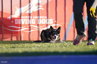 RielVisuals_NADD_Copper_Classic_20240126_082802_SJR01058