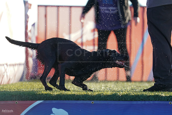 RielVisuals_NADD_Copper_Classic_20240126_083154_SJR01289