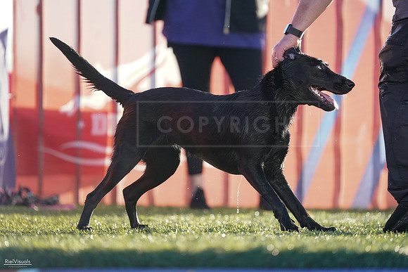 RielVisuals_NADD_Copper_Classic_20240126_083212_SJR01294