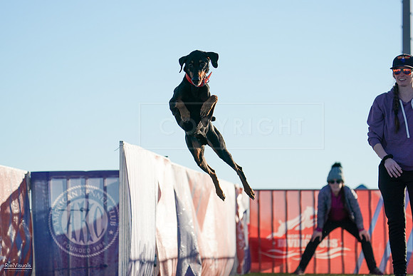 RielVisuals_NADD_Copper_Classic_20240126_083353_SJR01355