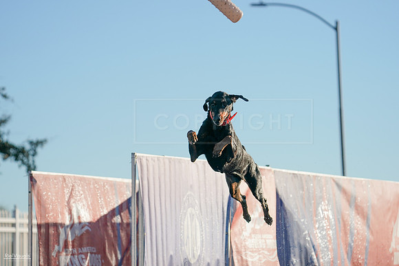 RielVisuals_NADD_Copper_Classic_20240126_083434_SJR01373