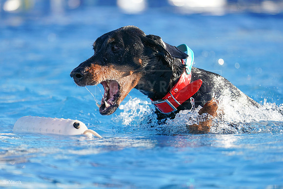 RielVisuals_NADD_Copper_Classic_20240126_083437_SJR01388