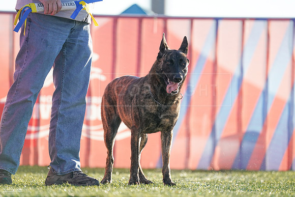 RielVisuals_NADD_Copper_Classic_20240126_083531_SJR01404