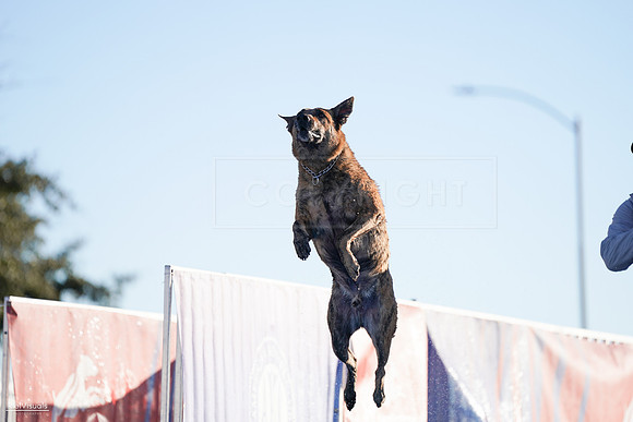 RielVisuals_NADD_Copper_Classic_20240126_084701_SJR01723