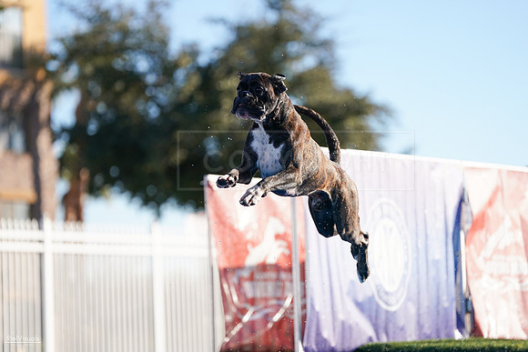 RielVisuals_NADD_Copper_Classic_20240126_090006_SJR02028