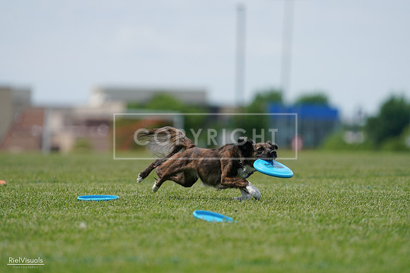 RielVisuals_20240525_124200_SJR00916