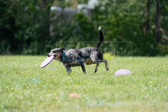 RielVisuals_20240728_145228_SJR09458