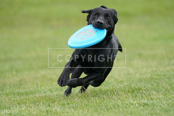 RielVisuals_20240525_163946_SJR05123