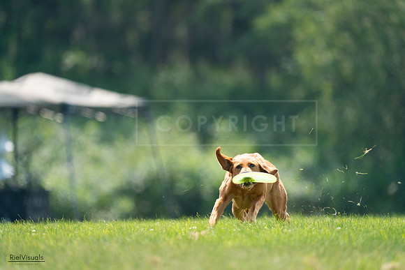 RielVisuals_20240727_122424_SJR05484