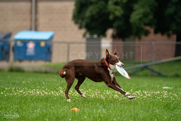 RielVisuals_20240722_191904_SJR00594