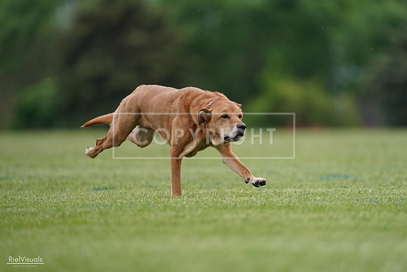 RielVisuals_20240525_161830_SJR04008