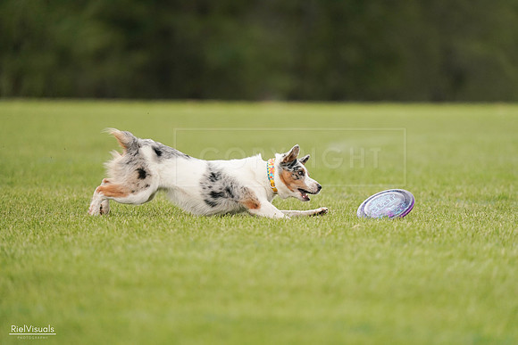 RielVisuals_20240527_140116_SJR01208