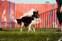RielVisuals_NADD_Copper_Classic_20240127_170303_SJR09998