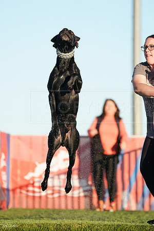 RielVisuals_NADD_Copper_Classic_20240127_170750_SJR00153