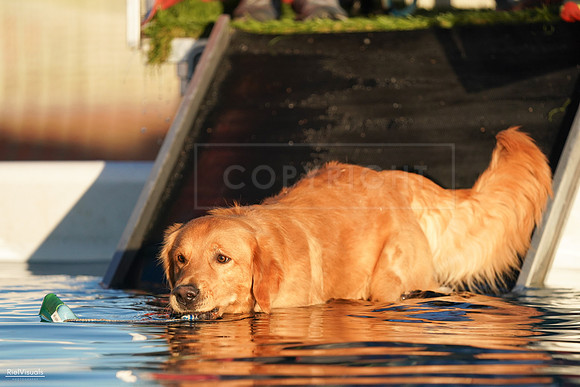 RielVisuals_NADD_Copper_Classic_20240127_171708_SJR00437