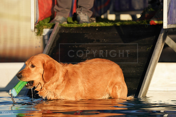 RielVisuals_NADD_Copper_Classic_20240127_171710_SJR00443