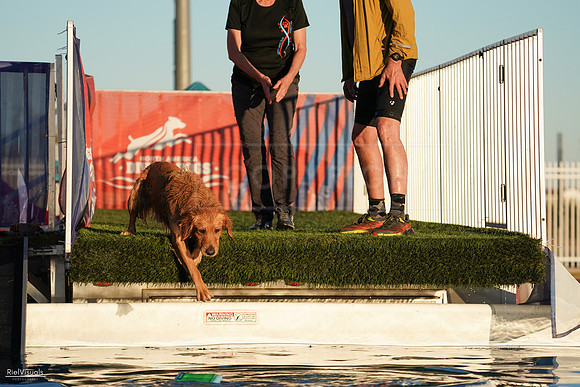 RielVisuals_NADD_Copper_Classic_20240127_172019_SJR01478