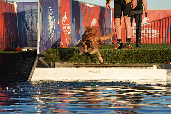RielVisuals_NADD_Copper_Classic_20240127_172113_SJR01604