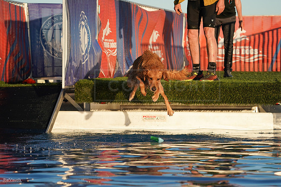 RielVisuals_NADD_Copper_Classic_20240127_172113_SJR01605