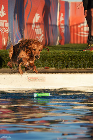 RielVisuals_NADD_Copper_Classic_20240127_172147_SJR01651