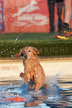 RielVisuals_NADD_Copper_Classic_20240127_173254_SJR02333