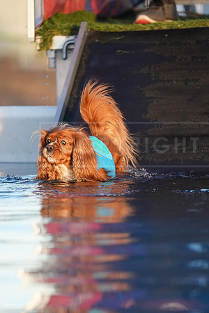 RielVisuals_NADD_Copper_Classic_20240127_173454_SJR02406