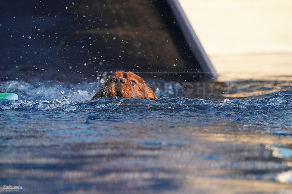 RielVisuals_NADD_Copper_Classic_20240127_173631_SJR02502