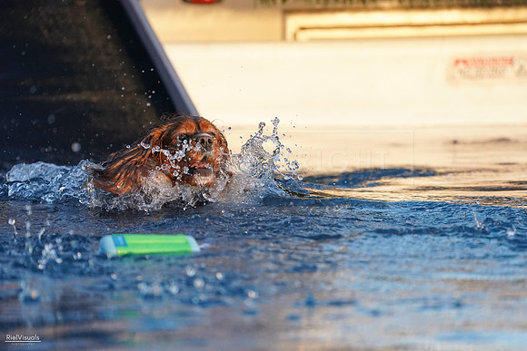 RielVisuals_NADD_Copper_Classic_20240127_173650_SJR02544